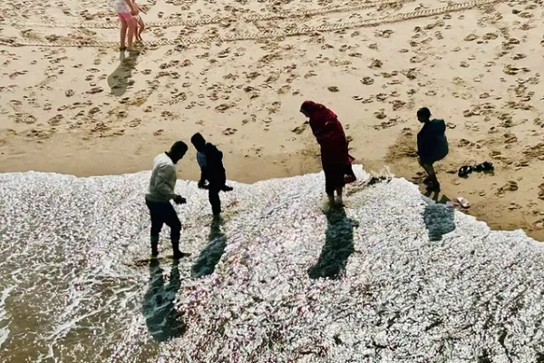 Visiting Skegness Sea Beach with Community Members in 2025