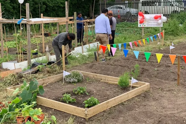 sustainable gardening project